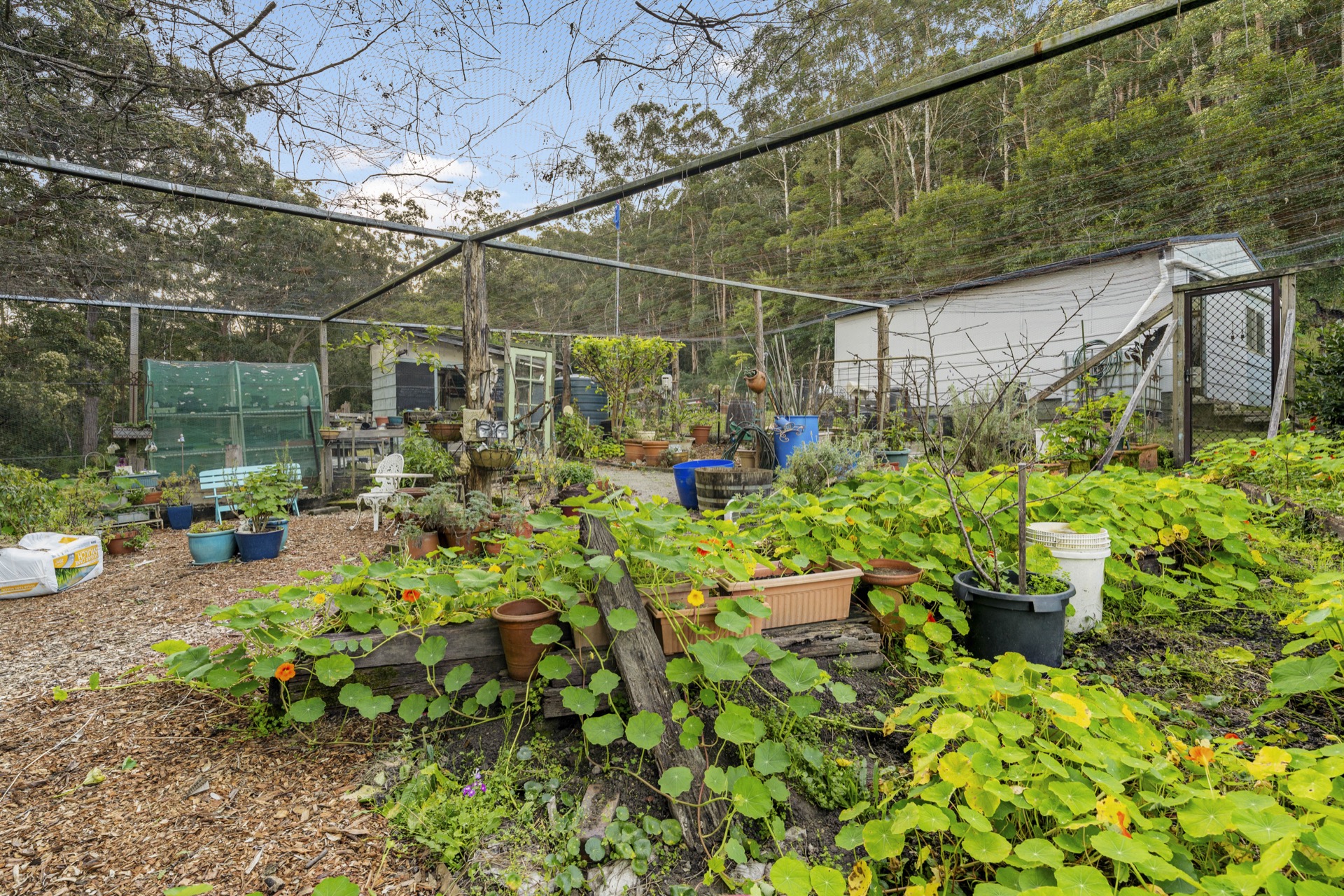 Established vegetable garden fully under wire